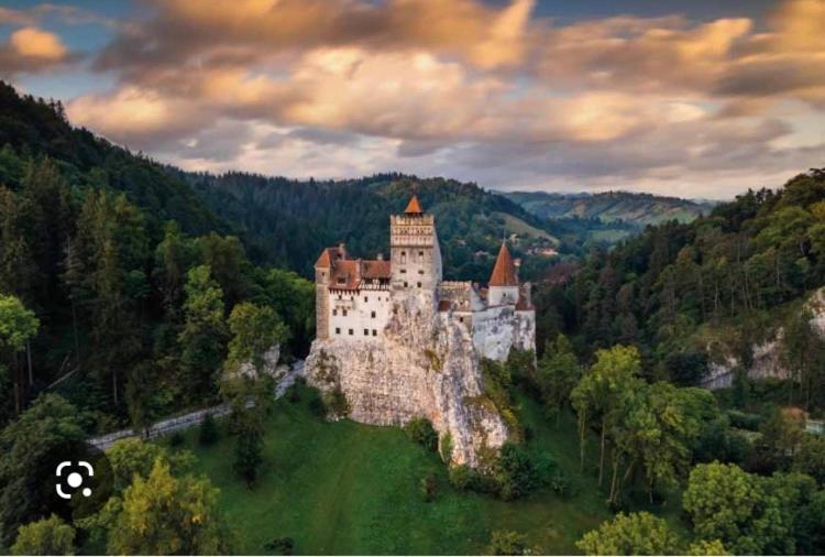 Bran Nori Albi Vila Si Cabana Bran (Brasov) Exterior foto