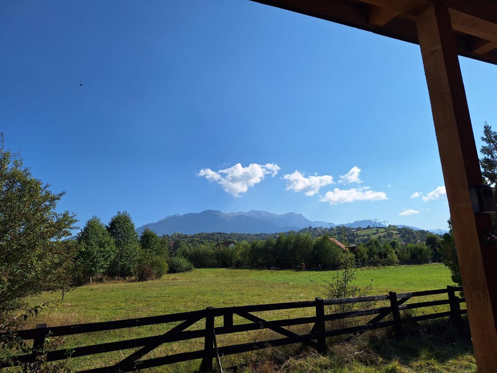 Bran White Clouds House And Chalet Bran (Brasov) Exterior foto