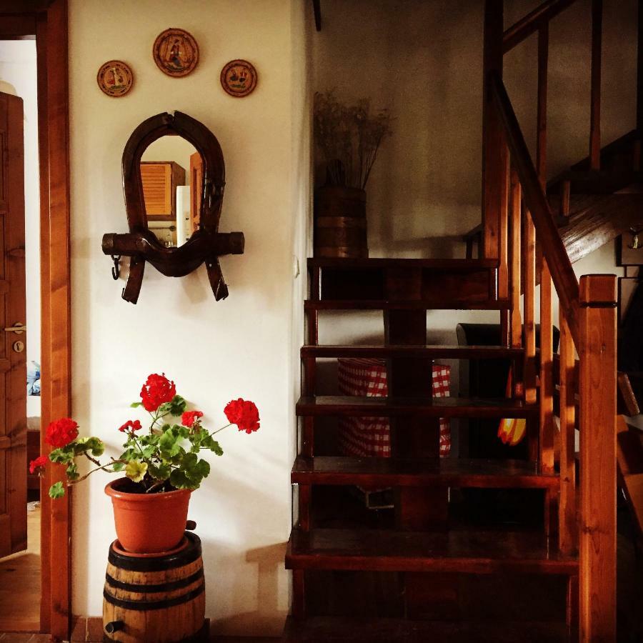 Bran Nori Albi Vila Si Cabana Bran (Brasov) Exterior foto