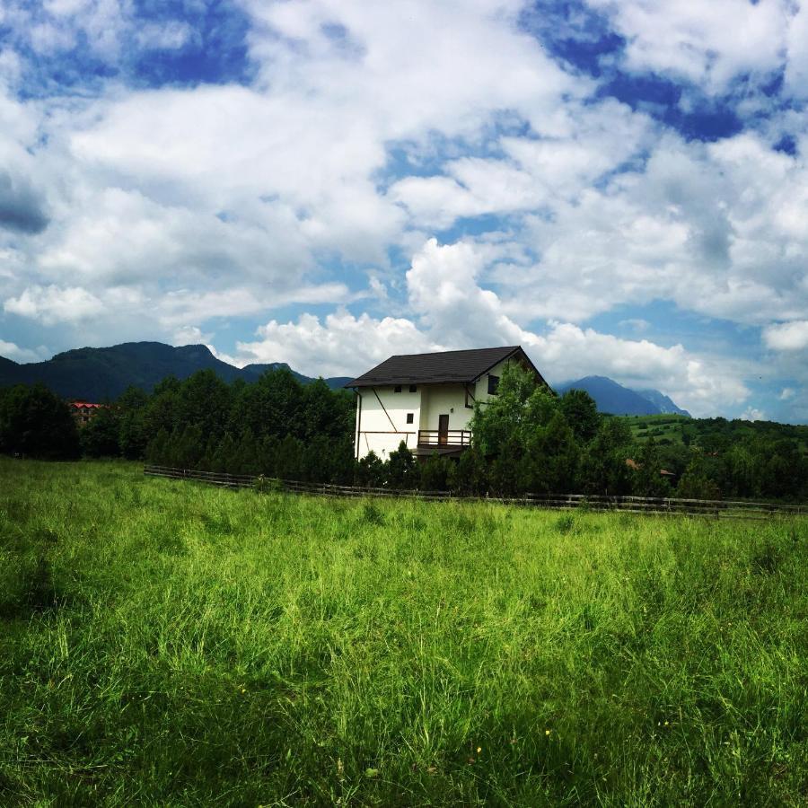 Bran Nori Albi Vila Si Cabana Bran (Brasov) Exterior foto
